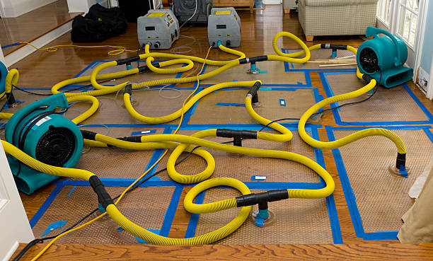 Professional Structural Drying And Dehumidification technician working in Sanger, TX